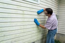 Best Siding Painting and Refinishing  in Deephaven, MN